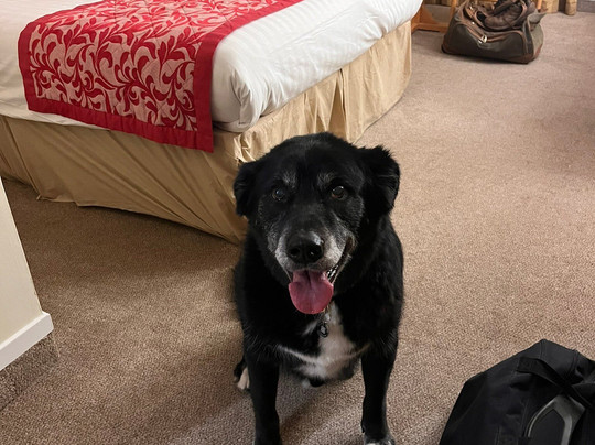 经典希克史泰德酒店主图