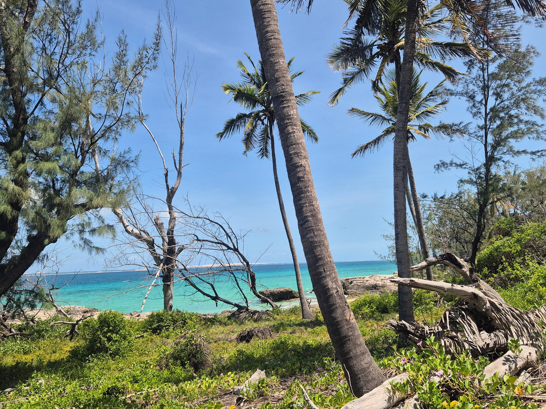 Bazaruto Incoming Agency-Vilanculos必去景点