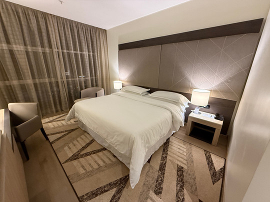 喜来登米兰马尔彭萨机场酒店及会议中心主图