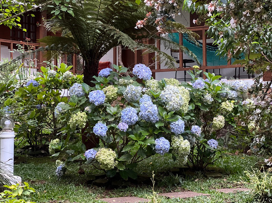 Pousada Suica Mineira Garden主图