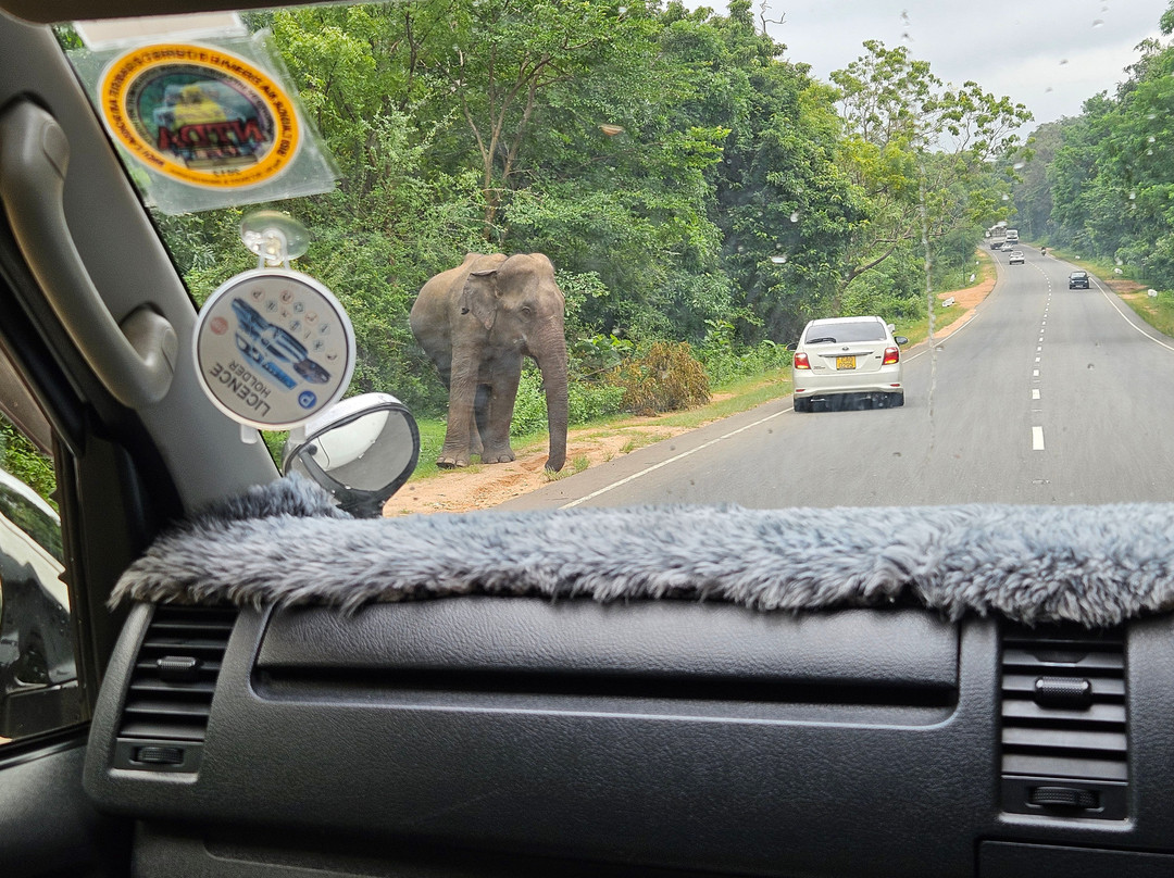Harrysuni Tours-尼甘布必去景点