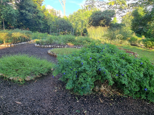 Laura's Herb & Spice Garden-St. George's必去景点