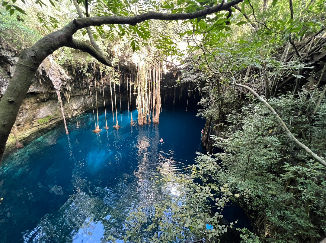 Experiencia Privada en Cenote Exclusivo-巴利亚多利德必去景点