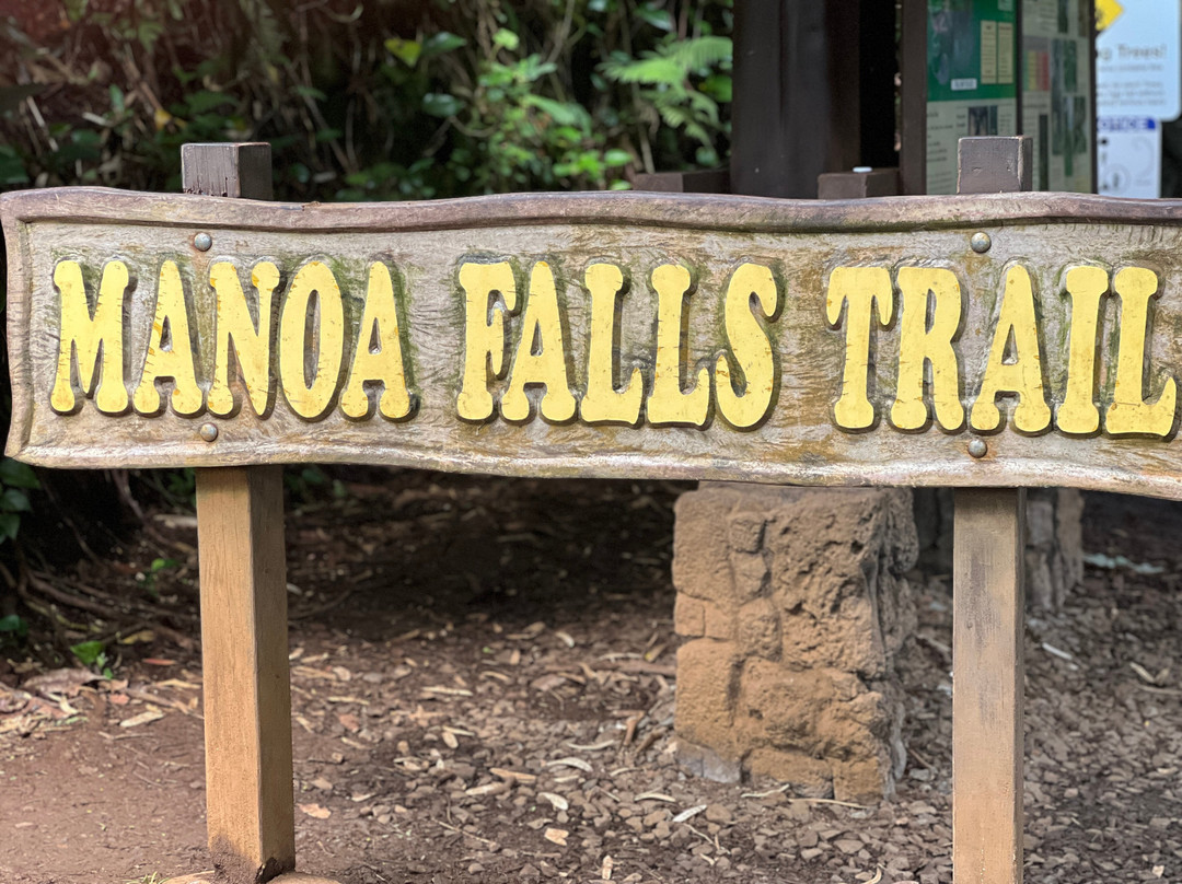 Cirque du Soleil 'Auana-火奴鲁鲁必去景点