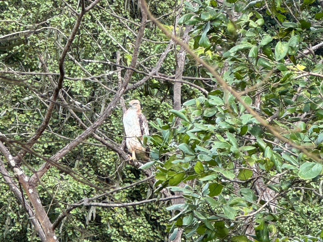 Safari With Asanka-锡吉里亚必去景点
