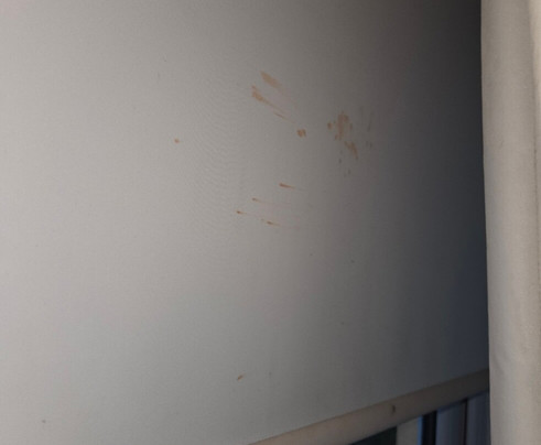 Bowfield Hotel主图