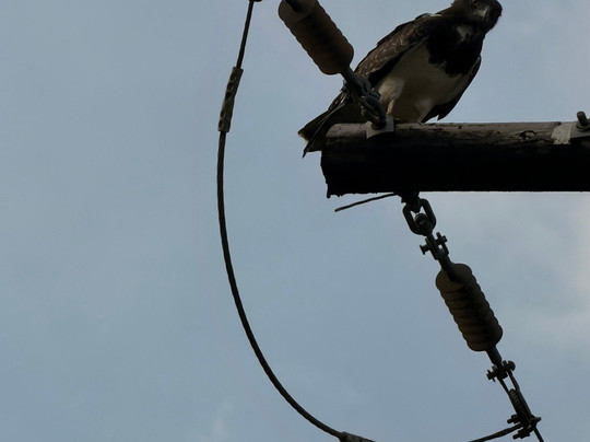 Royal Safaris-库马堤港必去景点