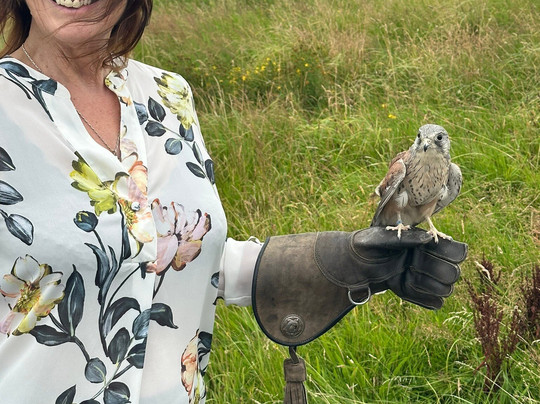 The British Bird of Prey Centre-喀麦登必去景点