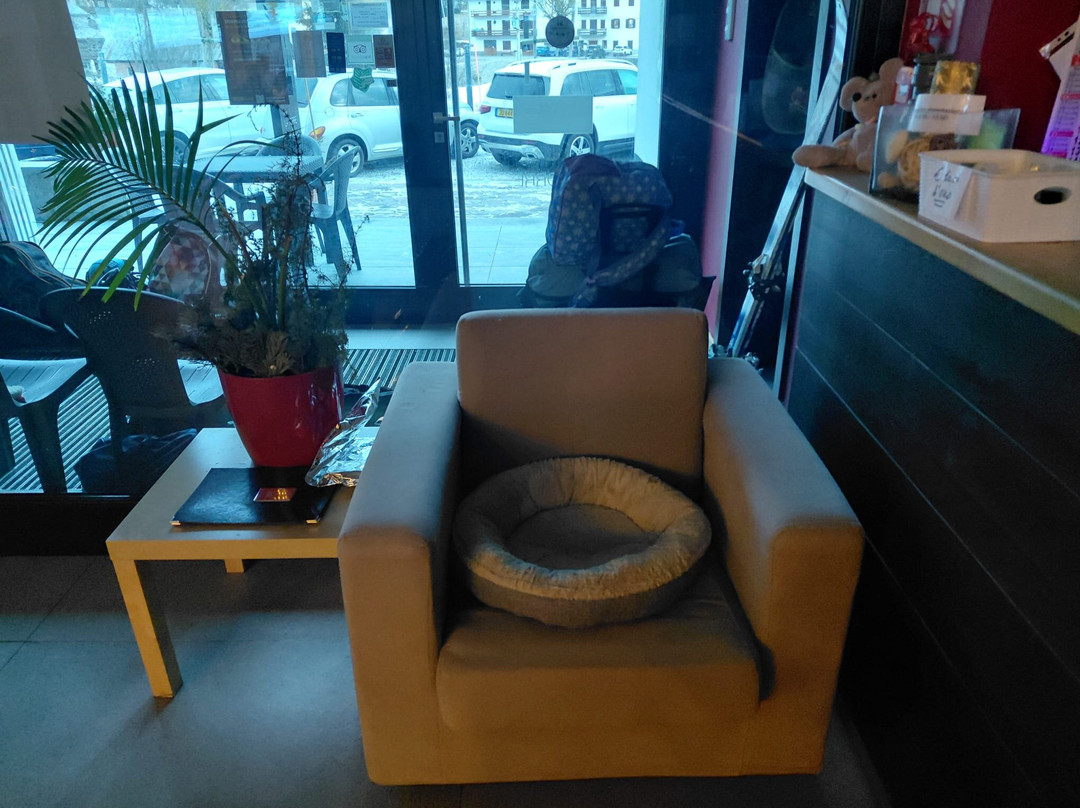 Active Hotel La Torre主图