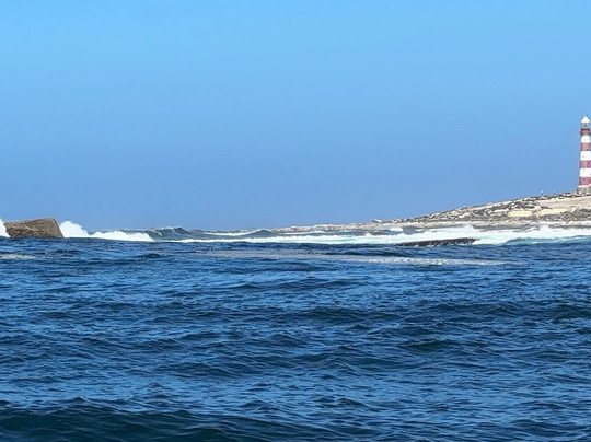 Cape Coast Expeditions-Yzerfontein必去景点