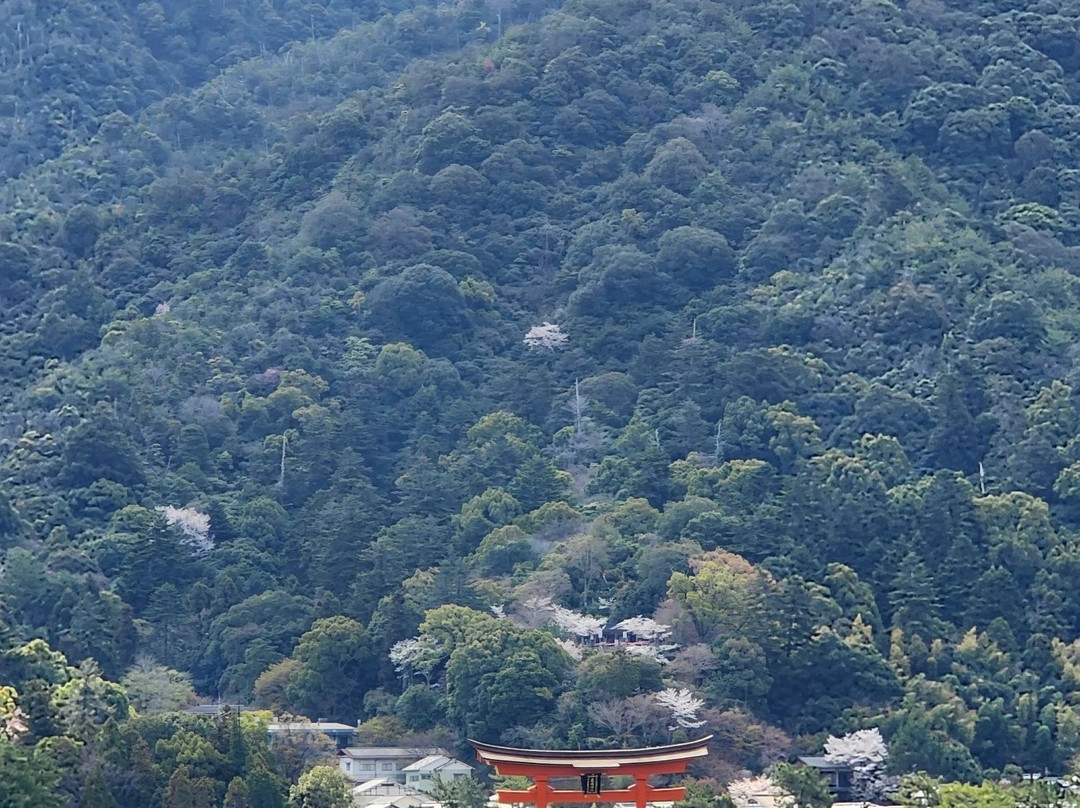 Itsukushima Shrine Torii-廿日市市必去景点
