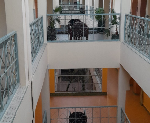 Chems Le Tazarkount主图