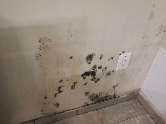 Wyndham Westfield主图