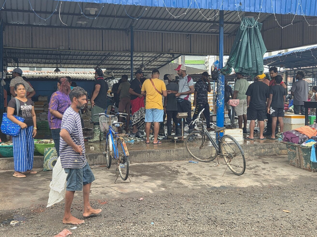 Subara Travels Sri Lanka-Radawana必去景点