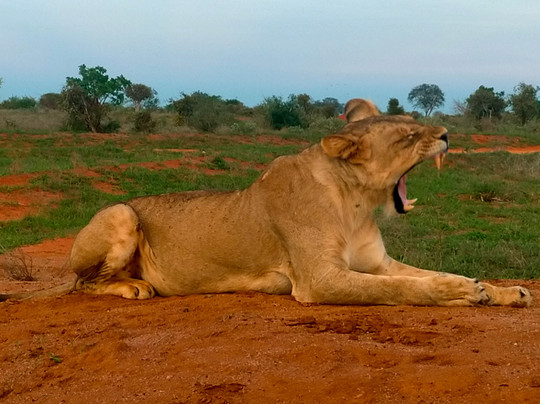 Malik Safari-马林地必去景点
