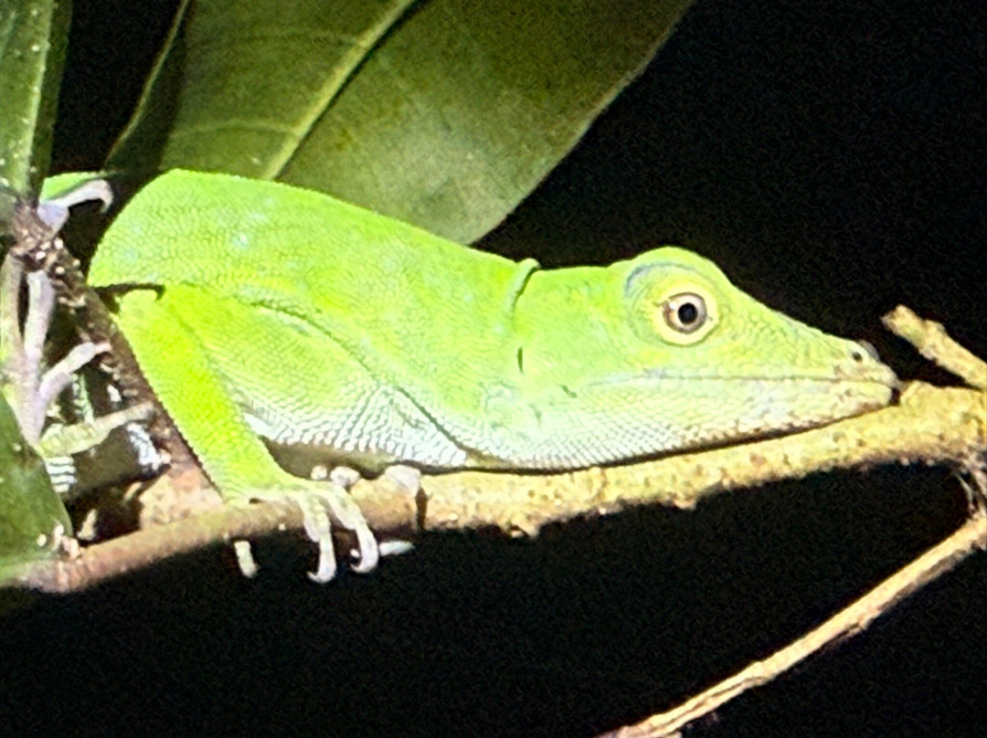 Tarantulas Way-卡维塔必去景点