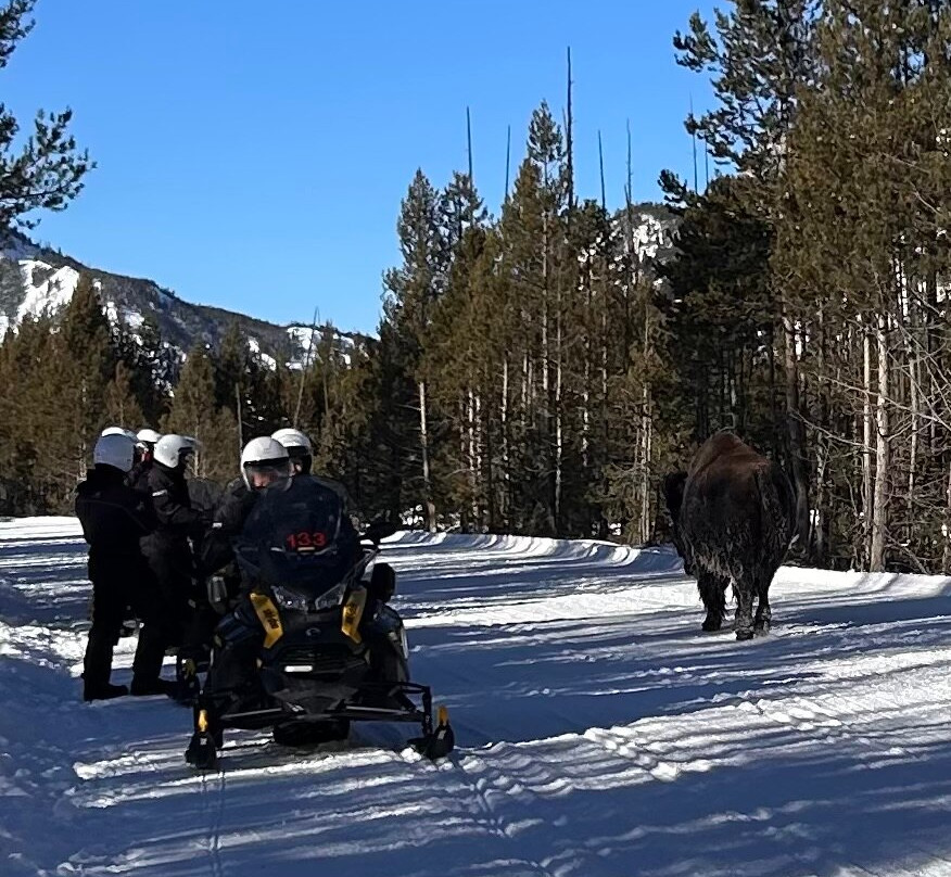 Two Top Snowmobile Rentals and Tours-西黄石镇必去景点