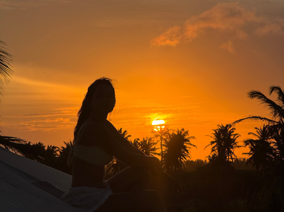 Elton Passeios-杰里科科拉必去景点