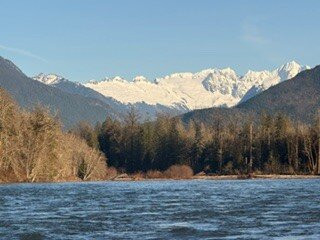 Skagit River Eagle Tours-Rockport必去景点