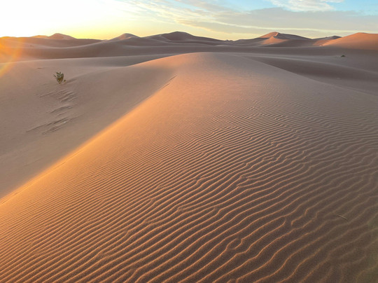 Desert Vibes-迈哈米德必去景点