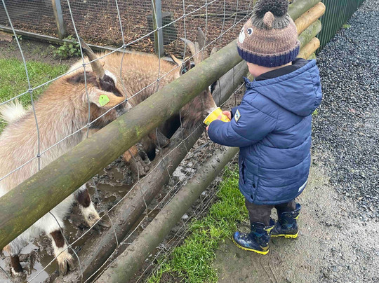 Hoo Zoo And Dinosaur World-特尔福德必去景点