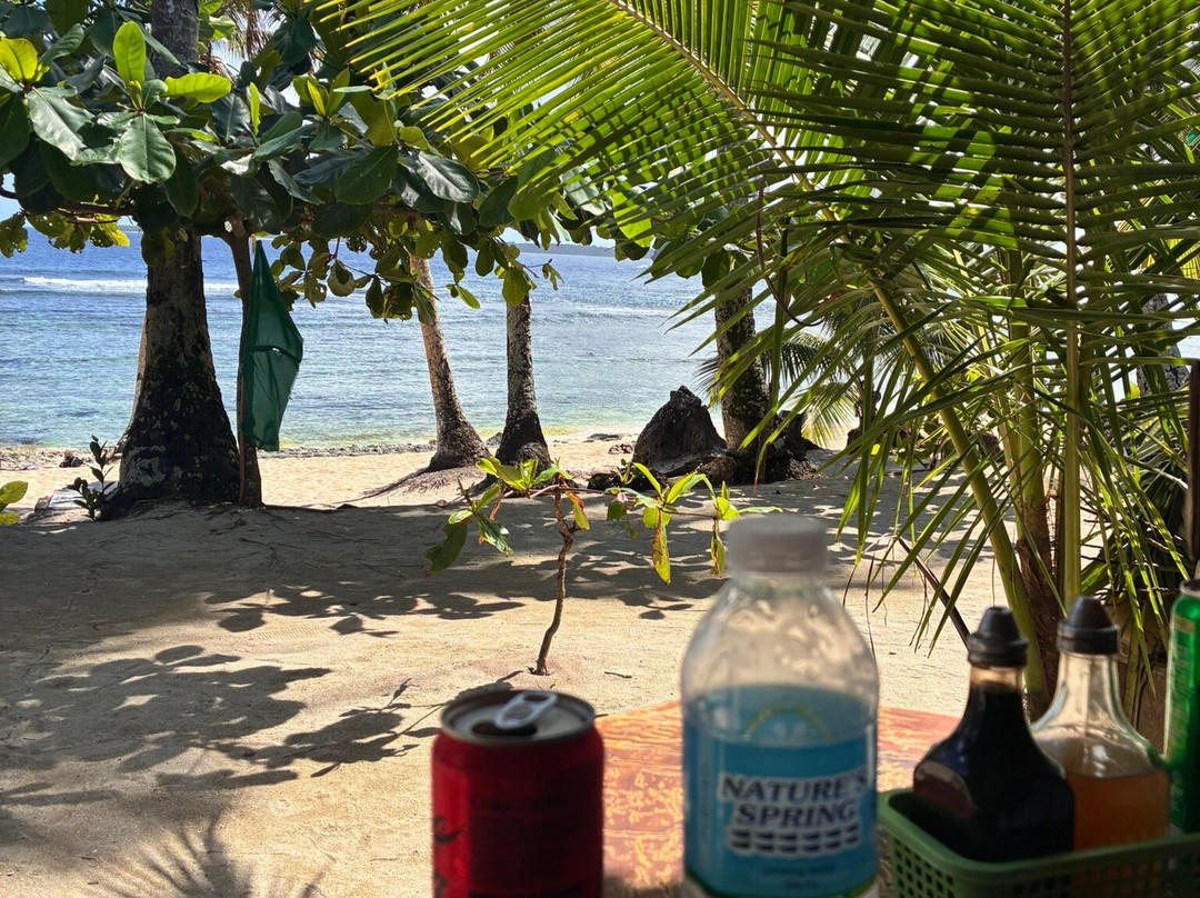 Magpaponko Swimming Hole-锡亚高岛必去景点