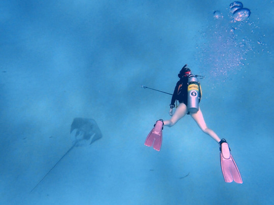 Orca Dive Club - Pereybere-Pereybere必去景点