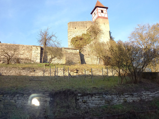 Hotel Herberge Zur Traube主图