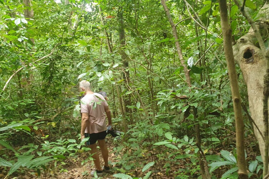 Ujung Kulon Ecotourism-Ujungjaya必去景点