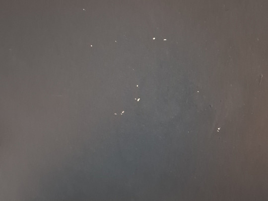 Travelodge St Austell Hotel主图