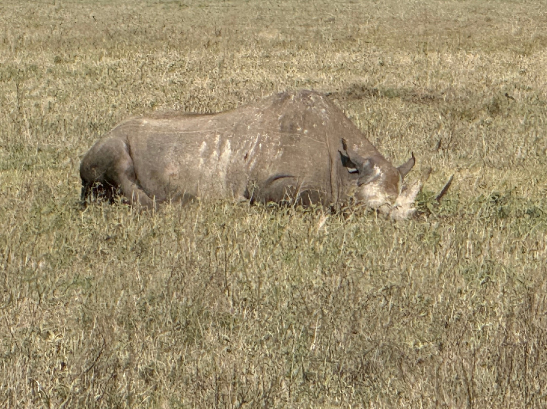 iTravel Safari & Expeditions-阿鲁沙必去景点