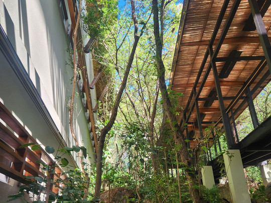 Rio Perdido-巴加塞斯區必去景点