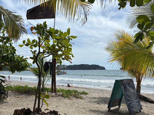 Pato's Surf School-萨玛拉滩必去景点