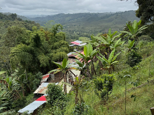 Finca Don Eduardo Coffee Tour-萨伦托必去景点