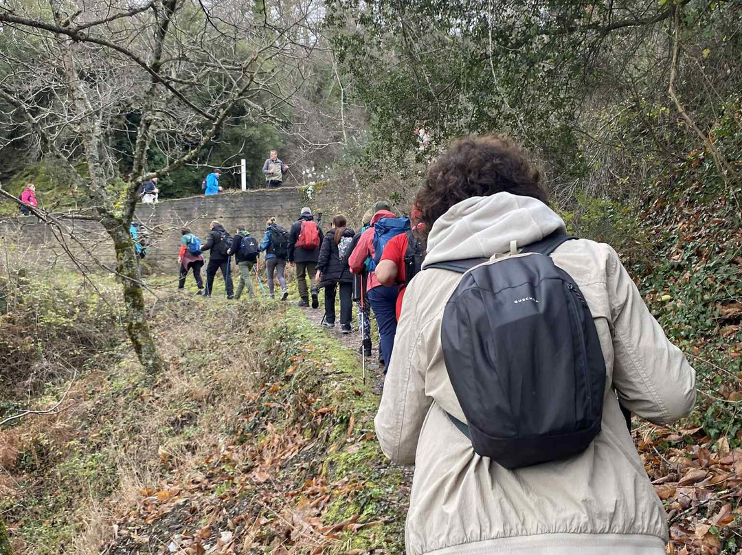 Irene's Healthy Life-Pallini必去景点