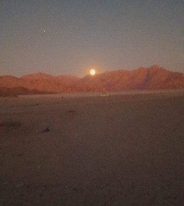 El Sherif Safari-沙姆沙伊赫必去景点