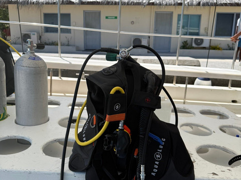 Euro-Divers Niva Kurumba Maldives-库鲁巴椰子岛必去景点