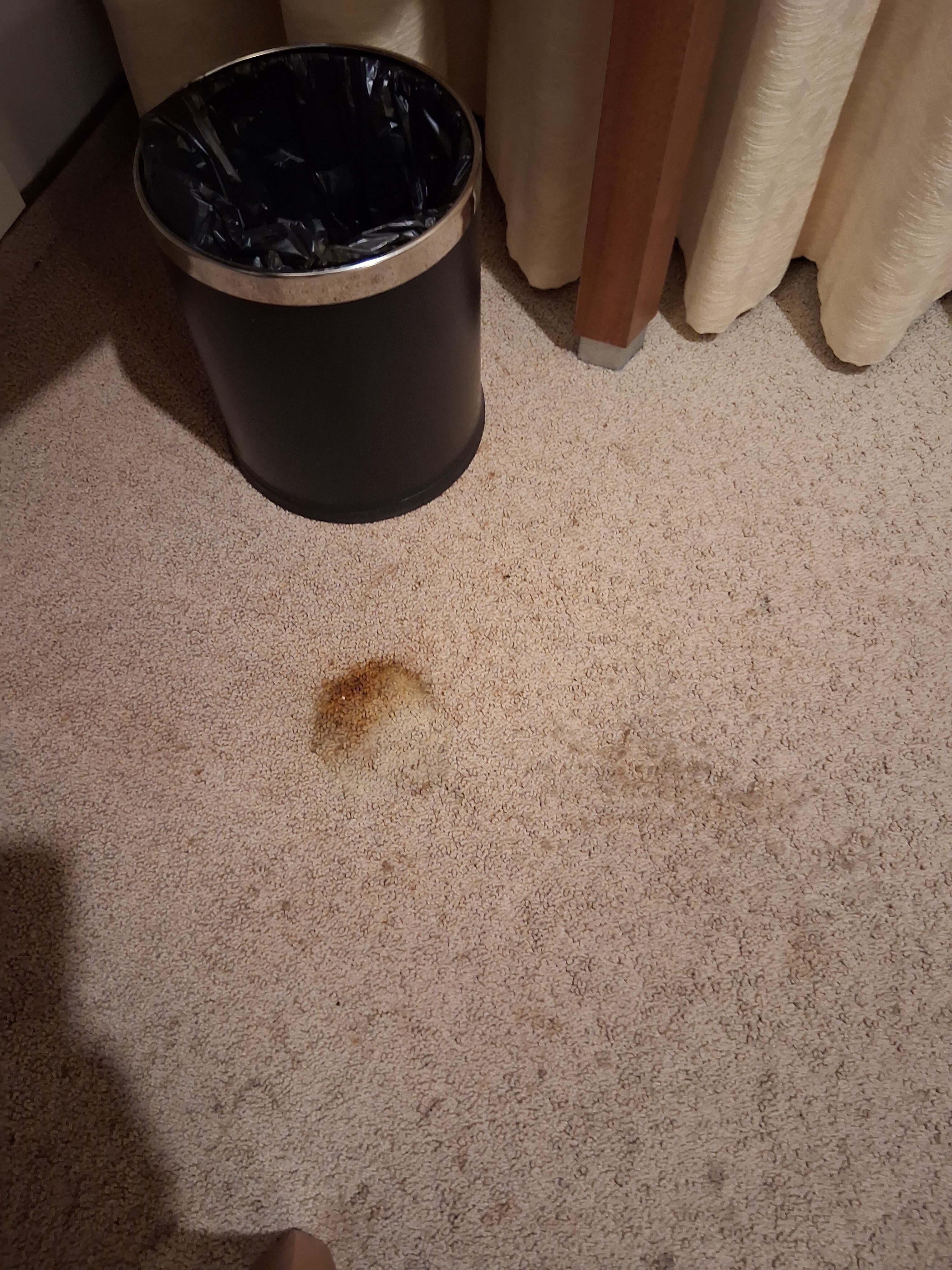 新罕布什尔州斯帕霍斯酒店-客卧