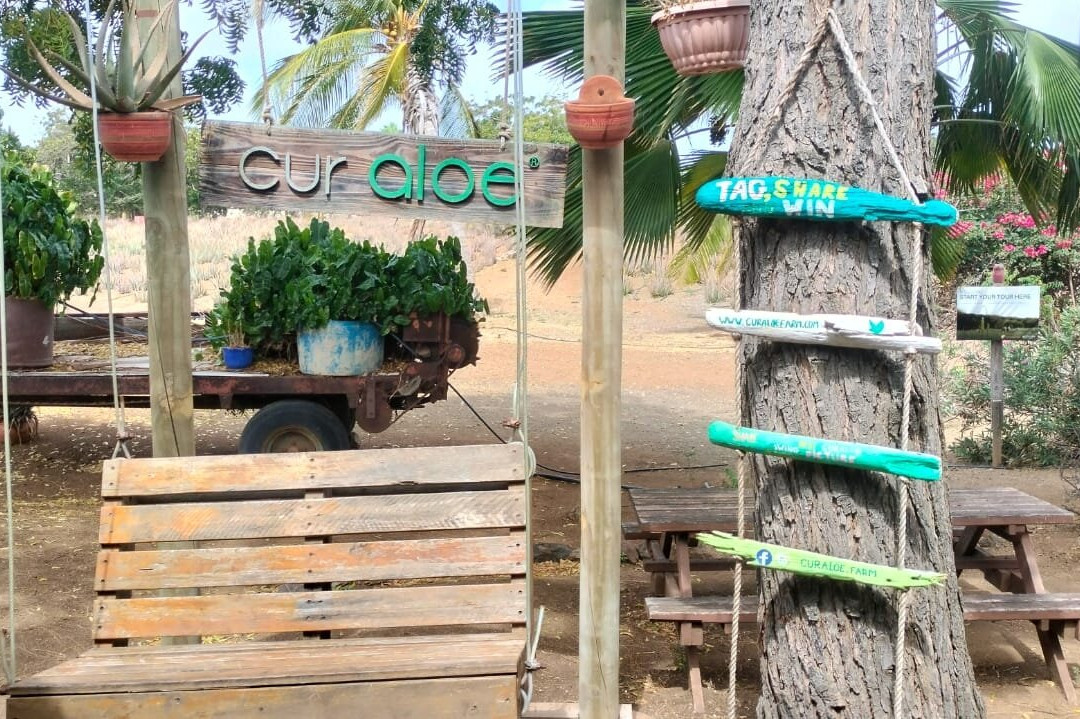 The Aloe Vera Curacao, Home of Curaloe Tour-威廉斯塔德必去景点
