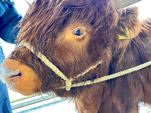 Dumble Farm-比弗利必去景点