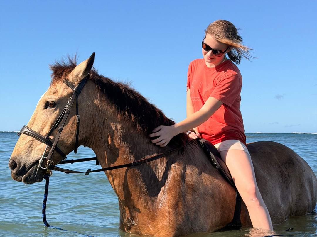 Mirador Equestrian-Playa Avellanas必去景点