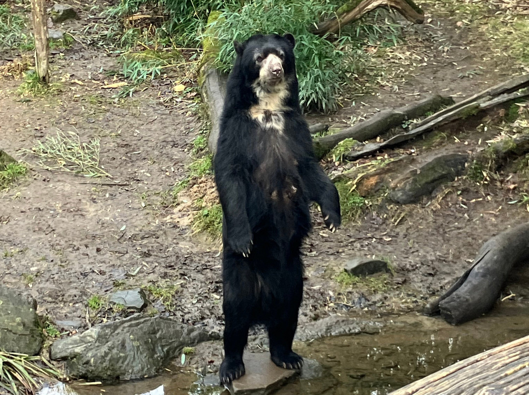 丹普木赫酒店主图