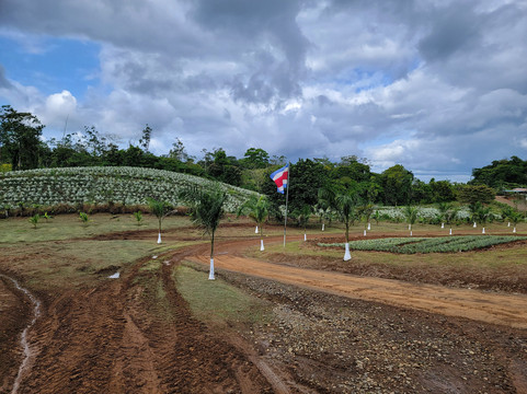 The Best Pineapple Tour Costa Rica-Rio Cuarto必去景点
