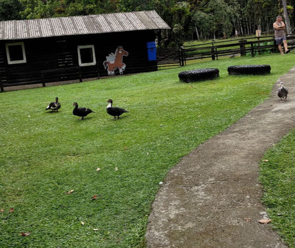 Rancho Alegre-Joinville必去景点