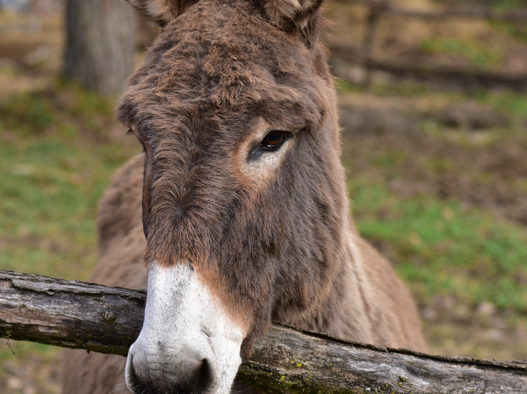 泰努塔瓦尔多米尼农家乐主图