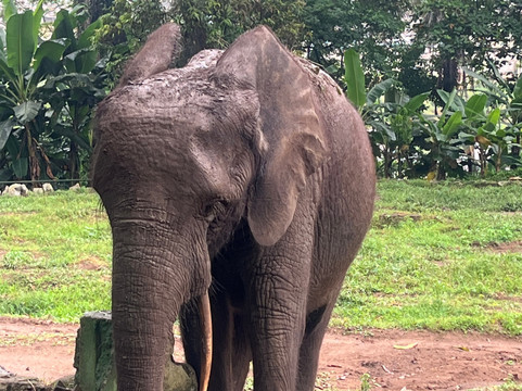 鲁茨公寓酒店主图