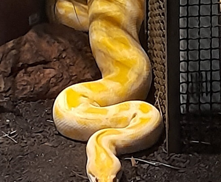 Bioparque Pantanal-大坎普市必去景点