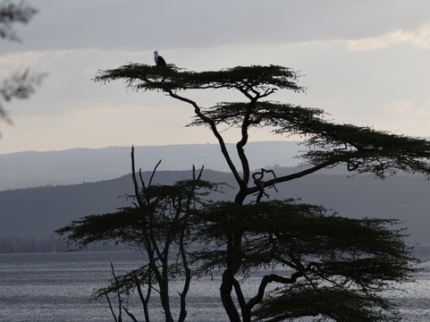 Pinnacle Alpine Tours and Treks-Naro Moru必去景点