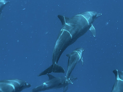 Ayoub Zanzibar Tour-Kigomani必去景点