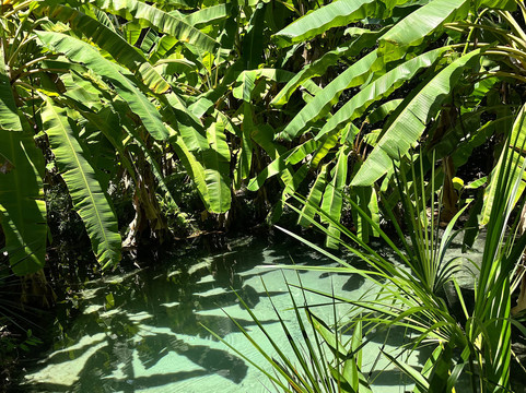 NATIVOS JALAPÃO-Palmas必去景点